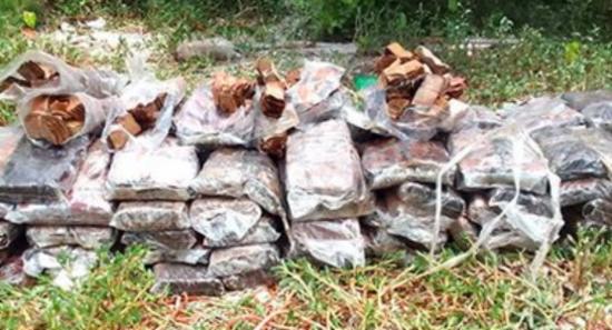 Approx. 46 kg of smuggled Tendu leaves seized